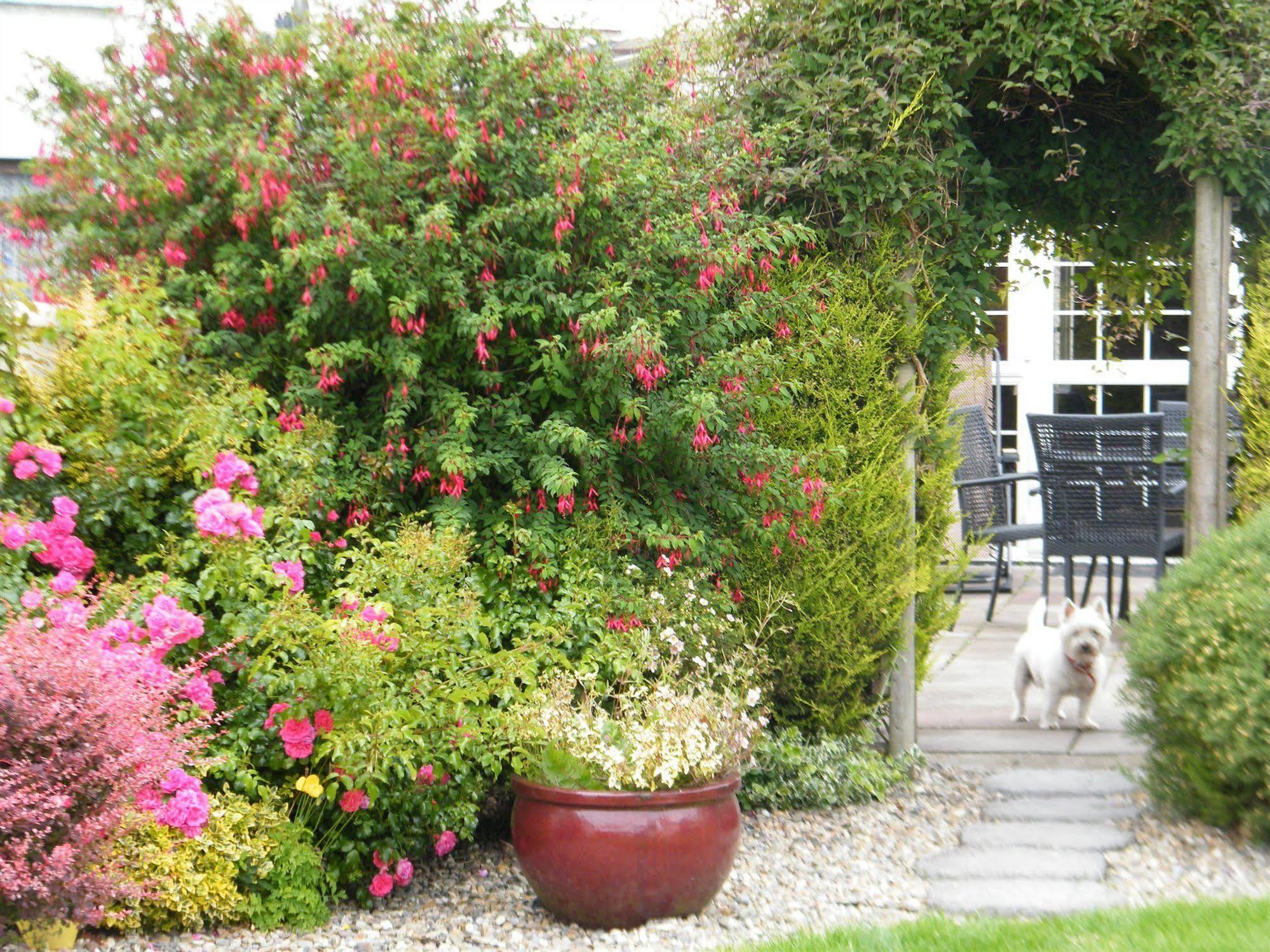Bed and Breakfast Almanii Dublin Zewnętrze zdjęcie