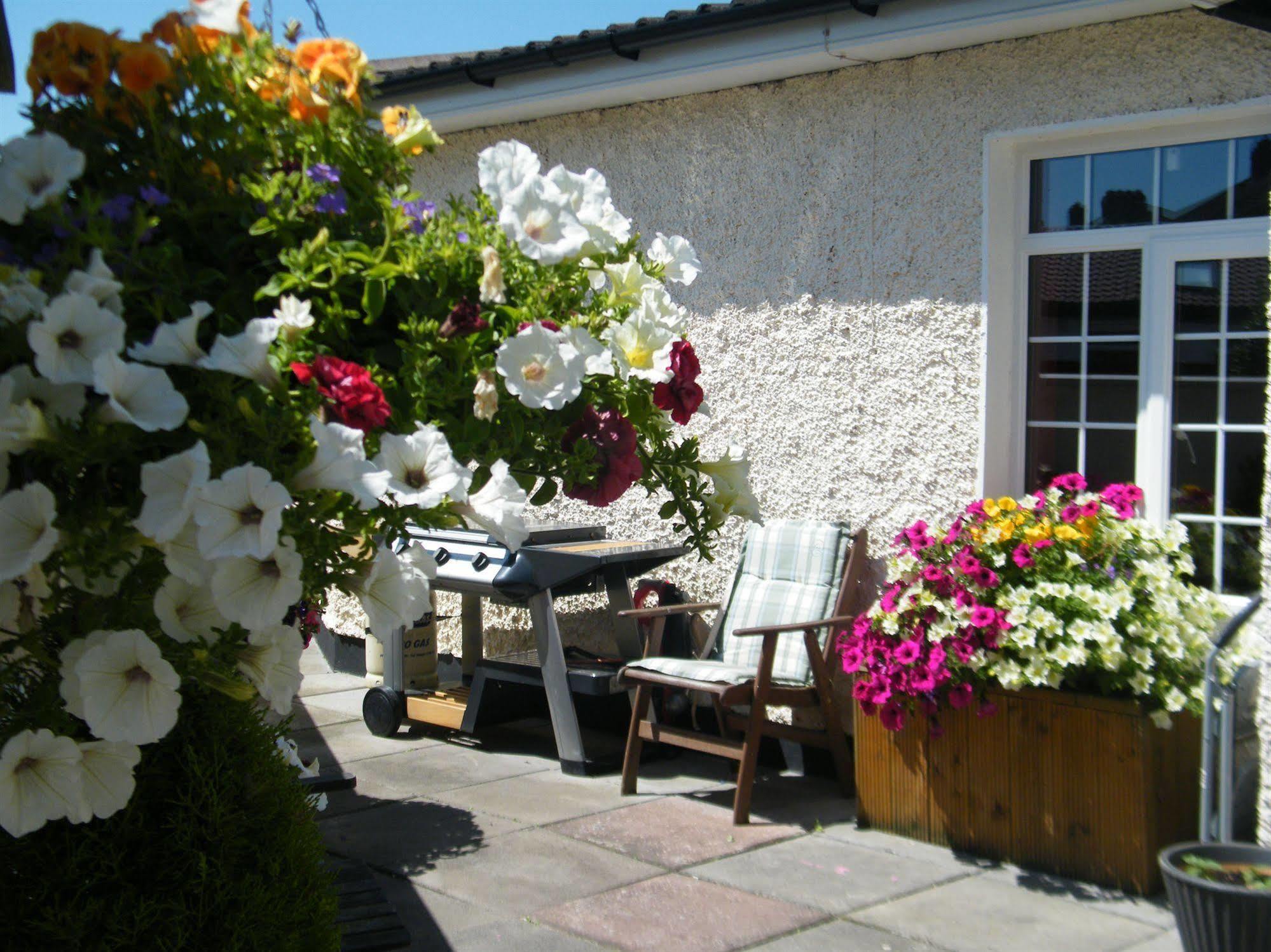 Bed and Breakfast Almanii Dublin Zewnętrze zdjęcie